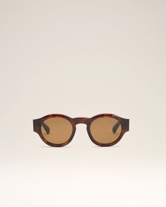 Brown Acetate 75002 Sunglasses
